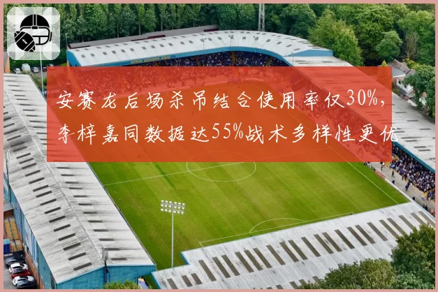 安赛龙后场杀吊结合使用率仅30%，李梓嘉同数据达55%战术多样性更优